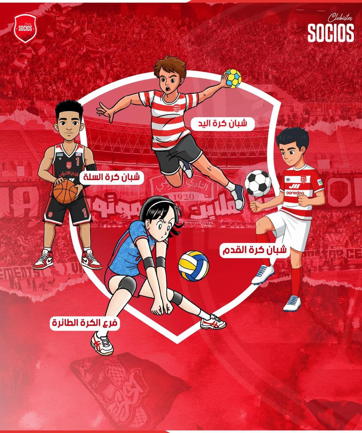 Projet en cours SOCIOS